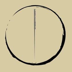 Plaschypunktur Logo Dao mit Nadel HIntergrund